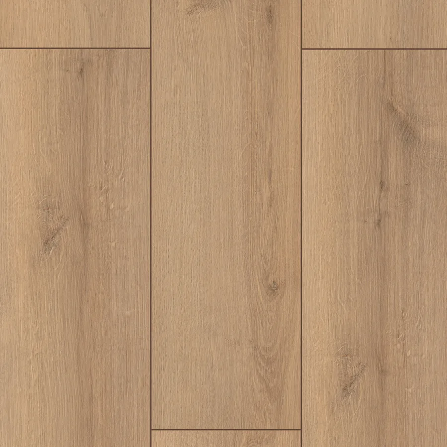 Canyon Oak · FXL019