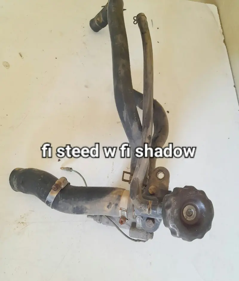 Coolant hoses & housing - Steed & Shadow