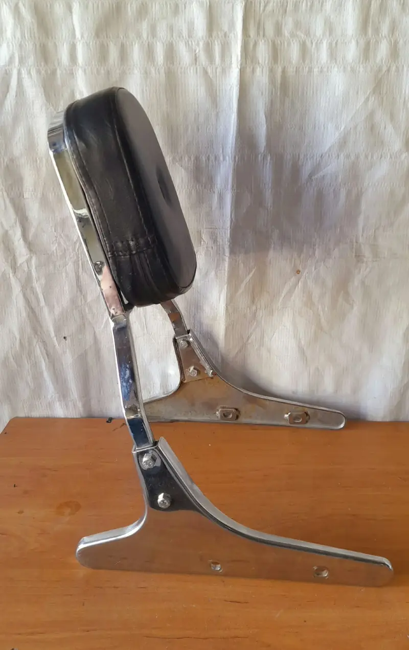 Steed sissy bar with backrest